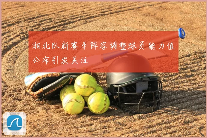 湘北队新赛季阵容调整球员能力值公布引发关注