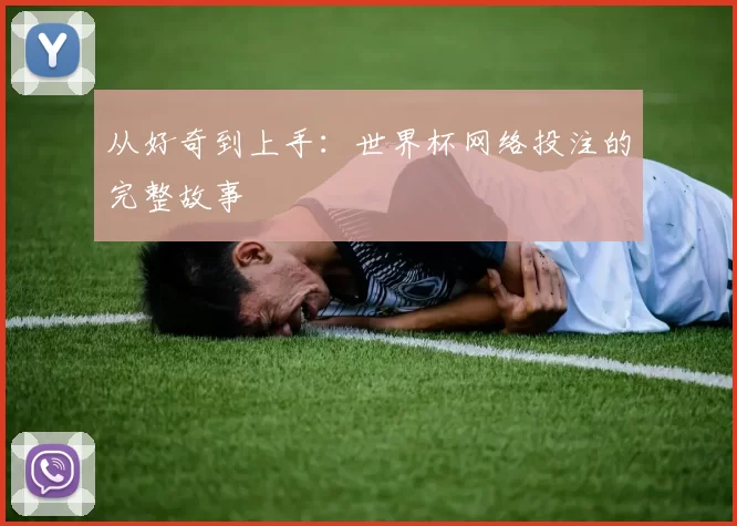 从好奇到上手:世界杯网络投注的完整故事