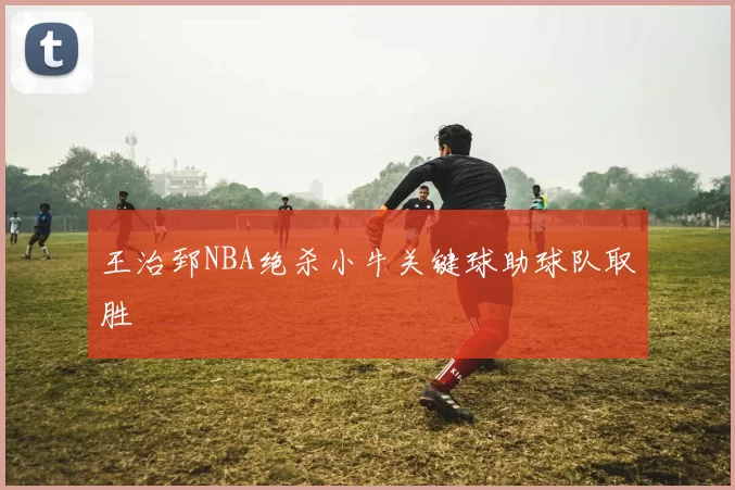 王治郅NBA绝杀小牛关键球助球队取胜