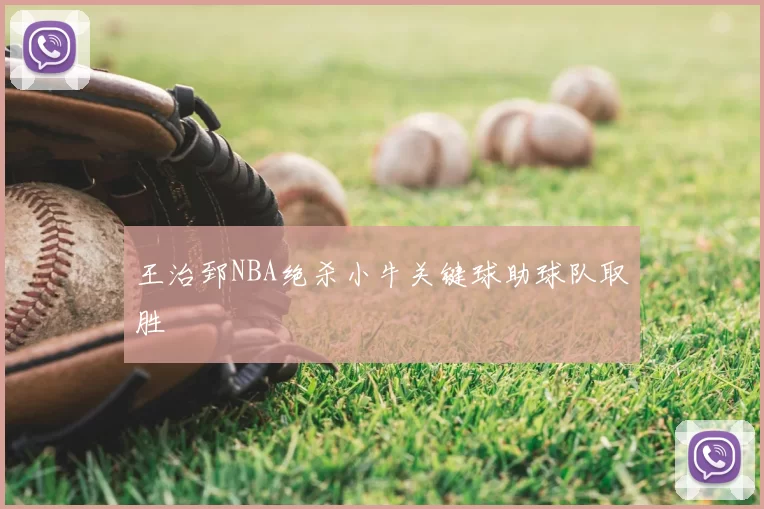王治郅NBA绝杀小牛关键球助球队取胜