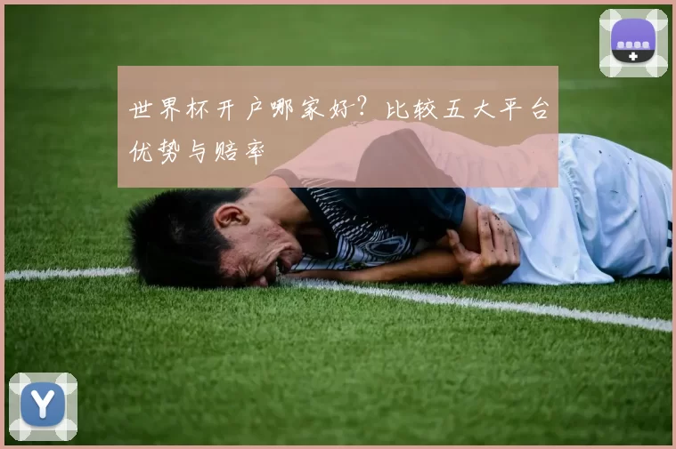世界杯开户哪家好?比较五大平台优势与赔率
