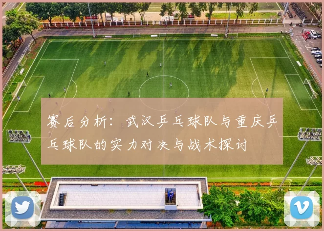 赛后分析：武汉乒乓球队与重庆乒乓球队的实力对决与战术探讨