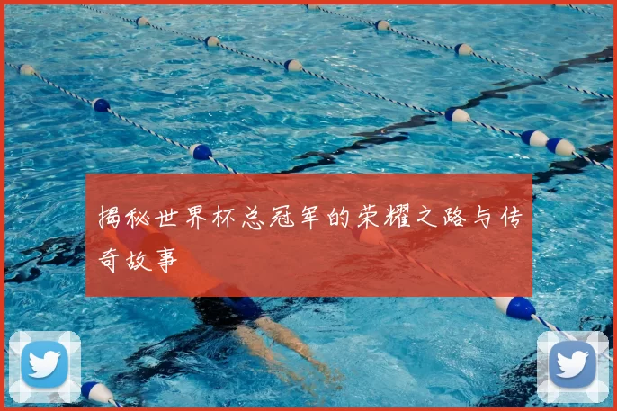 揭秘世界杯总冠军的荣耀之路与传奇故事