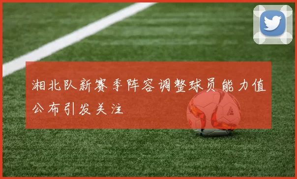 湘北队新赛季阵容调整球员能力值公布引发关注