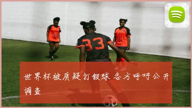 世界杯被质疑打假球 各方呼吁公开调查
