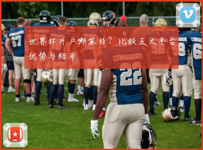 世界杯开户哪家好？比较五大平台优势与赔率